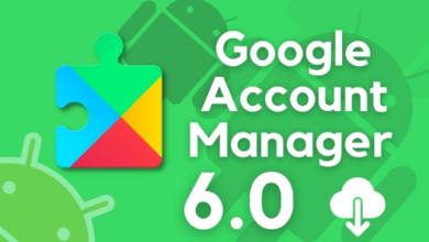 google account manager 6.0.1