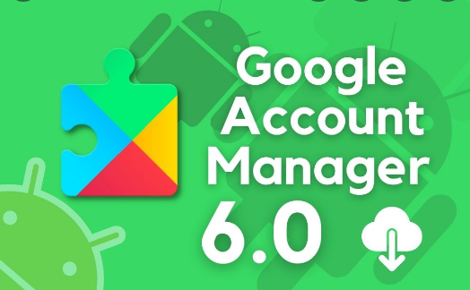 google account manager 6.0.1