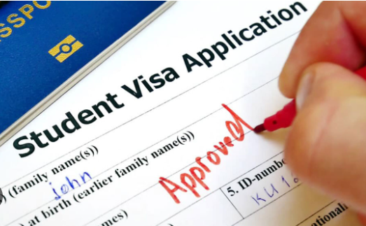 Navigating the Process of Applying for a Canada Student Visa Immigration