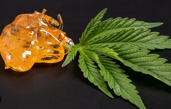 How to Choose the Best Live Resin Products for Your Needs