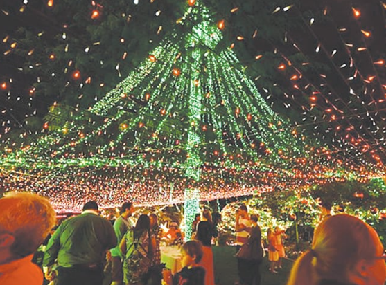 Multisensory Celebrations: Christmas Lights and Scents of the Season