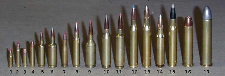 Unlocking the Potential of Rifle Ammunition