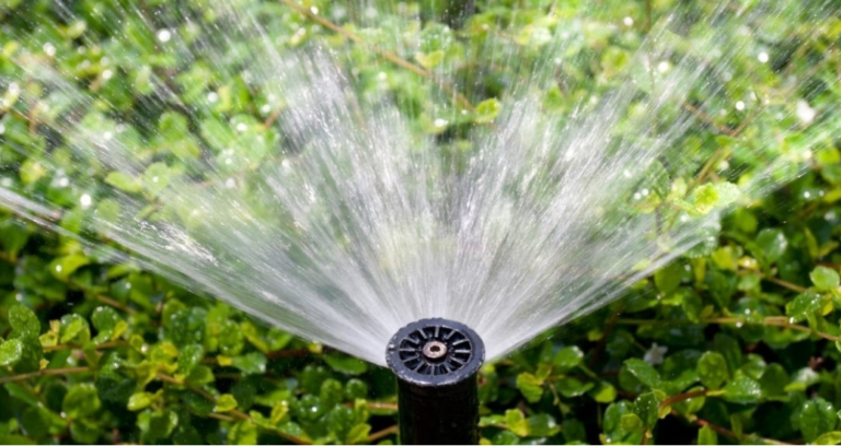 Maintaining a Healthy Garden: Essential Tips for Irrigation System Care